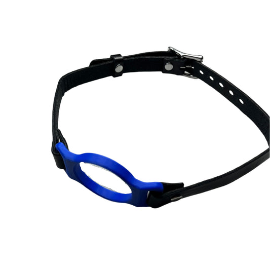 Blue BDSM O-Ring Gag